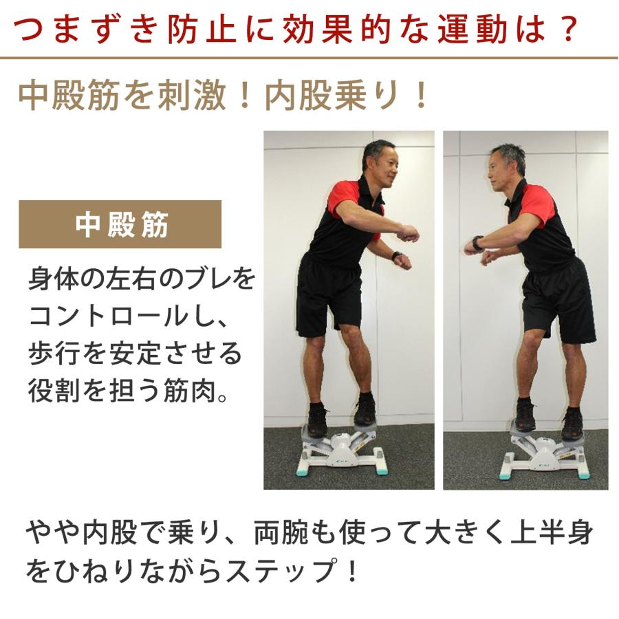 AEROLIFE（エアロライフ） 低負荷 ステッパー サイドステッパー