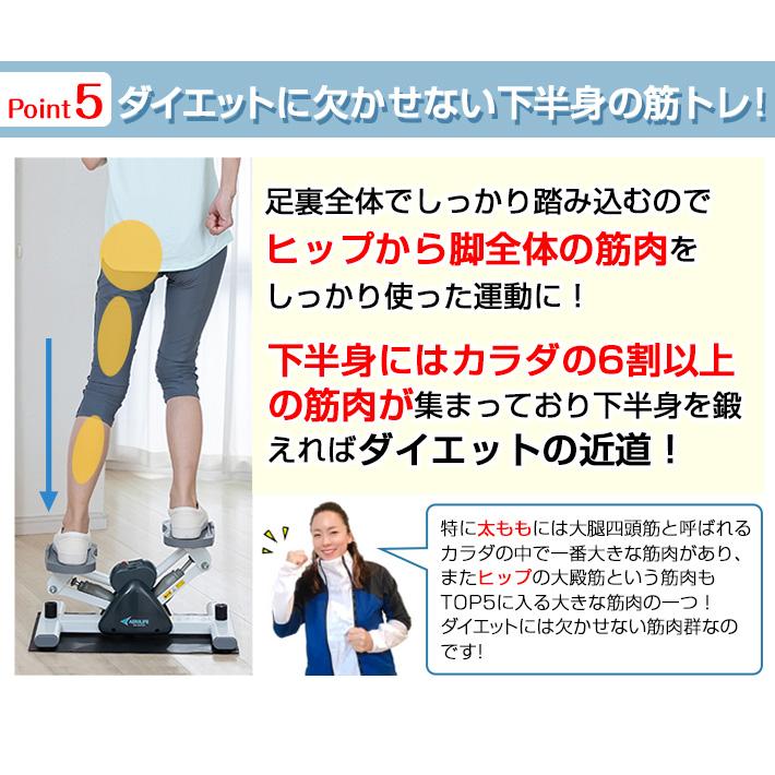 コスパ最強】ステッパー サイドステッパー エアロライフ ダイエット