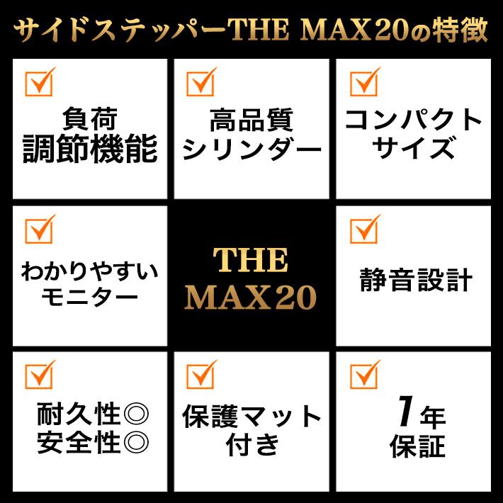 ステッパー 負荷調節 サイドステッパー THE MAX20 エアロライフ 健康器具 ダイエット 負荷調整 静音 有酸素運動 エクササイズ 足ふみ | AEROLIFE | 11