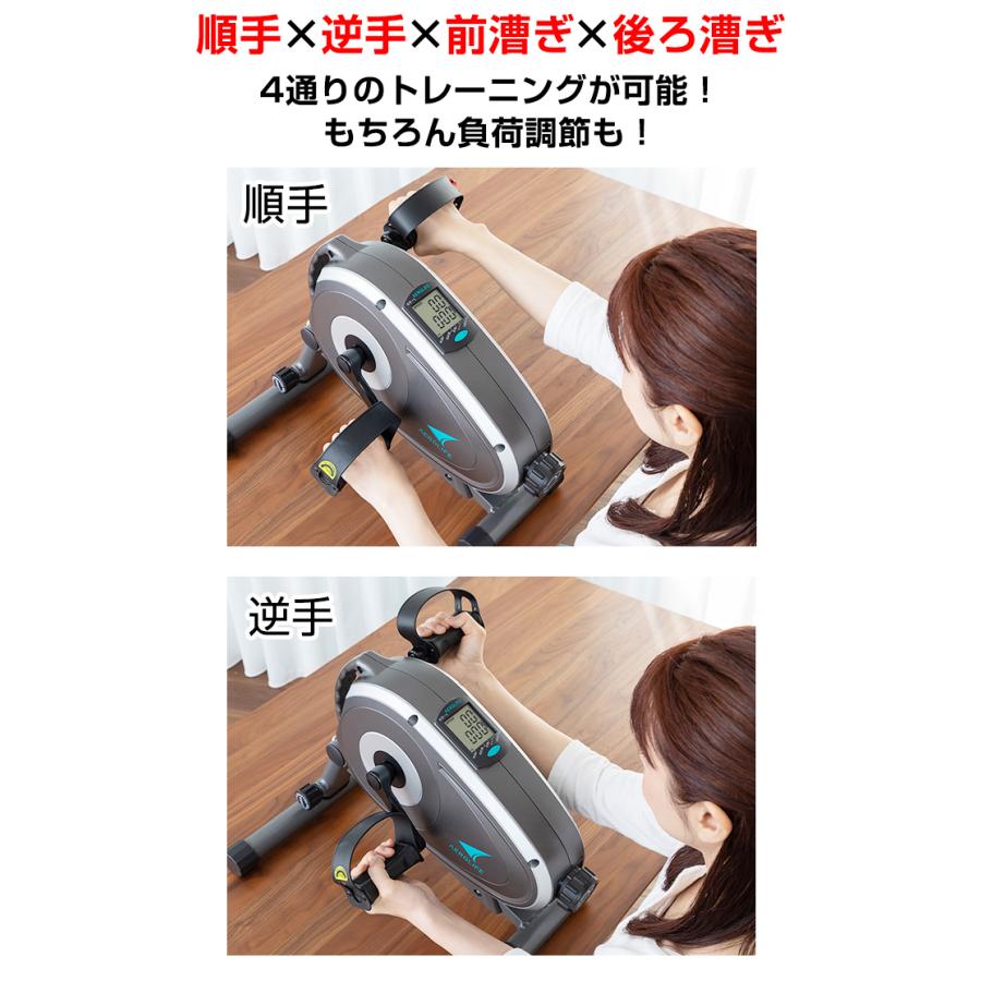 エアロバイク サイクルマシン エアロライフ スマートバイク ステッパー フィットネスバイク ミニバイク マグネット 負荷 調節 DR-3910 |  | 13