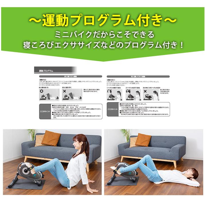 エアロバイク サイクルマシン エアロライフ スマートバイク ステッパー フィットネスバイク ミニバイク マグネット 負荷 調節 DR-3910 |  | 17