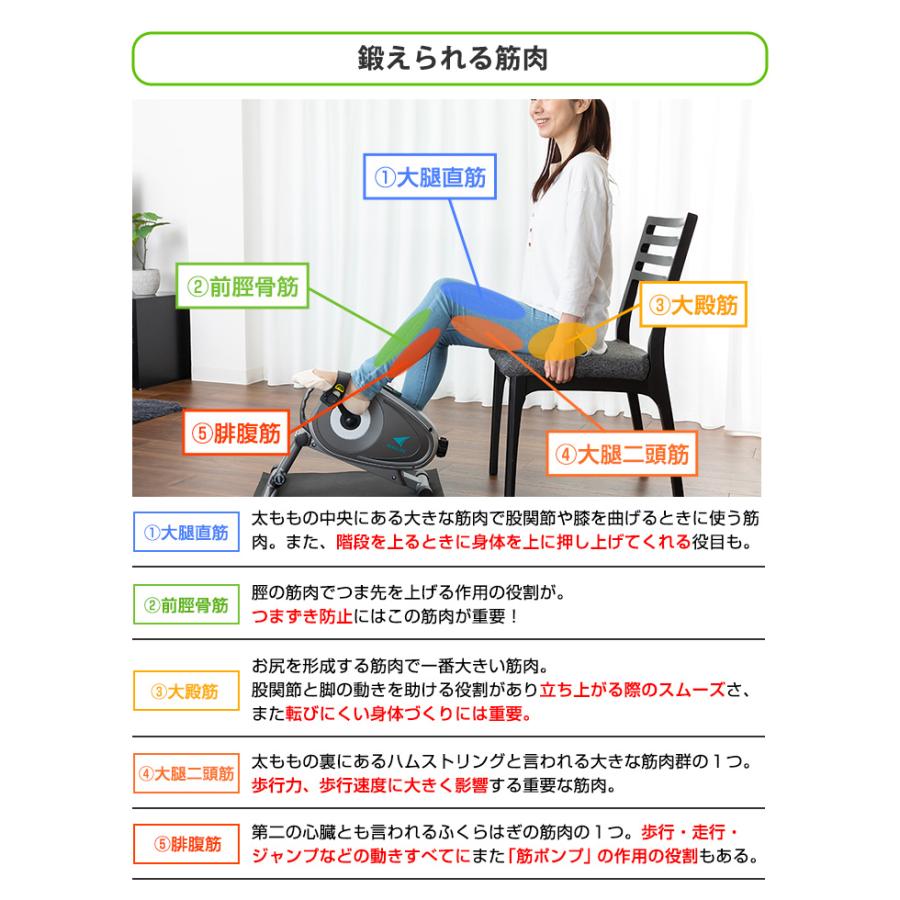エアロバイク サイクルマシン エアロライフ スマートバイク ステッパー フィットネスバイク ミニバイク マグネット 負荷 調節 DR-3910 |  | 02