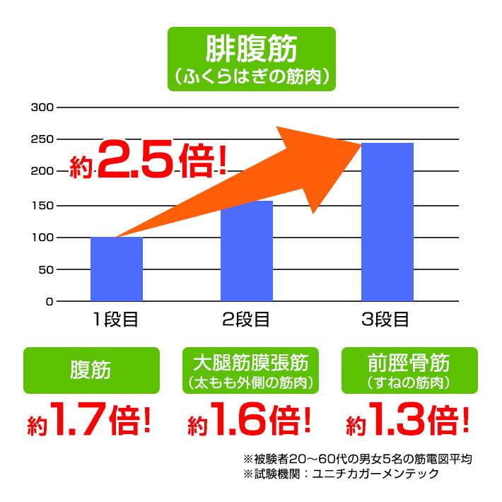 エアロバイク サイクルマシン エアロライフ スマートバイク ステッパー フィットネスバイク ミニバイク マグネット 負荷 調節 DR-3910 |  | 07