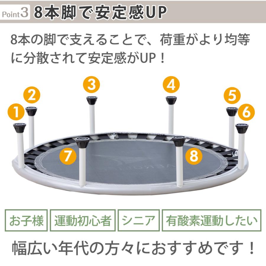 AEROLIFE（エアロライフ） トランポリン 102cm 8本脚 適応体重120kg DR