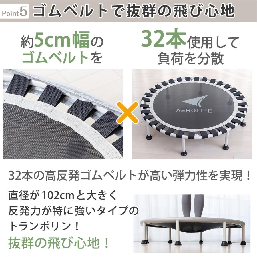 AEROLIFE（エアロライフ） トランポリン 102cm 8本脚 適応体重120kg DR