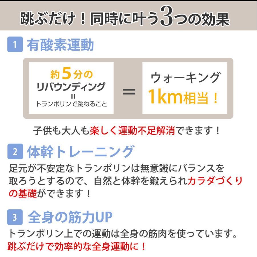 AEROLIFE（エアロライフ） トランポリン dr-6680 家庭用 子供 大人