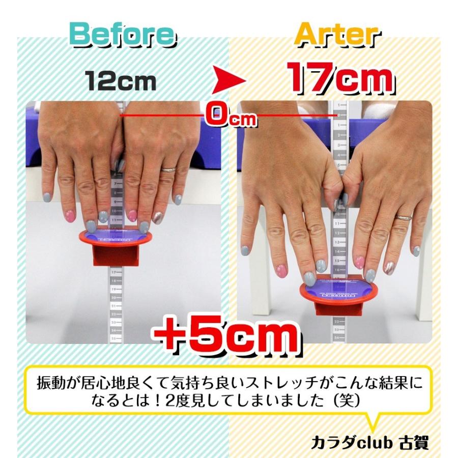 パーソナル シルバー 家庭用 パワープレート ジャパン 防振プレート付属 トレーニング 振動マシン 全身運動 ジャパン パーソナル Ptj Powerplate カラダclub プロティア 振動マシン ダイエット