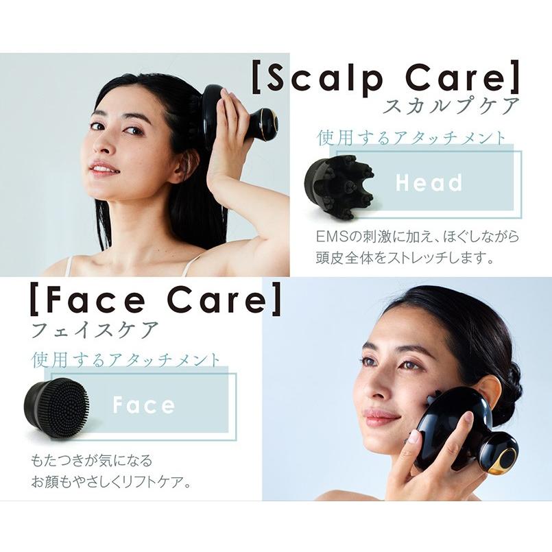 【2000円クーポン】 ヘッドスパ EMS 電気ブラシ 美顔器 WAVEWAVE 012 正規取扱店 電動 電気針 赤色LED 振動 リフトアップ 頭皮マッサージ器 フェイス 頭皮ケア 【2000円クーポン】 ヘッドスパ EMS 電気ブラシ 美顔器 WAVEWAVE 012 正規取扱店 電動 電気針 赤色LED 振動 リフトアップ 頭皮マッサージ器 フェイス 頭皮ケア