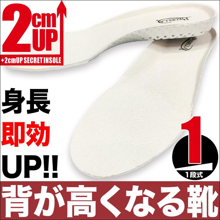 シークレットインソール 2cmUPインソール 中敷き メンズ レディース