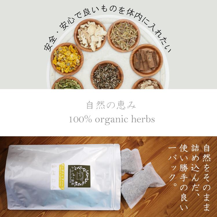 よもぎ蒸し パック ダイエット系 14種類 ハーブブレンド 14包 210g 