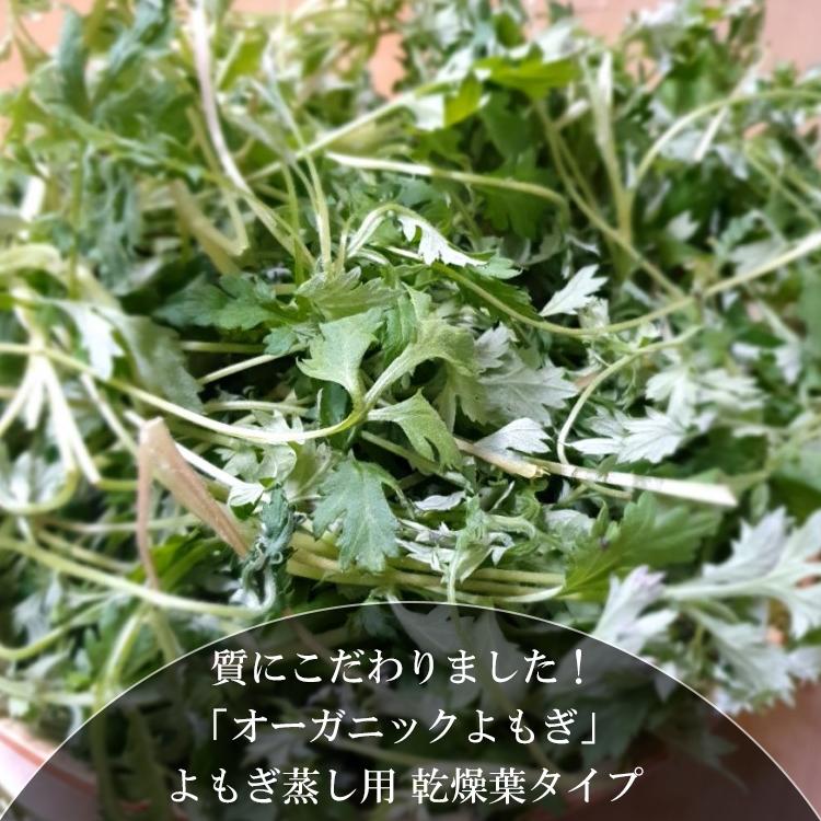 乾燥よもぎ 葉+枝ブレンド お得 900g よもぎ蒸し 韓国産 300g×3袋 大容量 量の調整ができる よもぎ蒸しセット 自宅 無添加 温活の画像