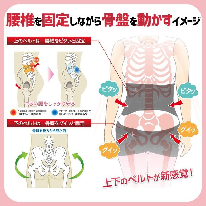 骨盤ベルト 骨盤 矯正 歪み 姿勢 改善 骨盤先生 整体 腰痛 猫背