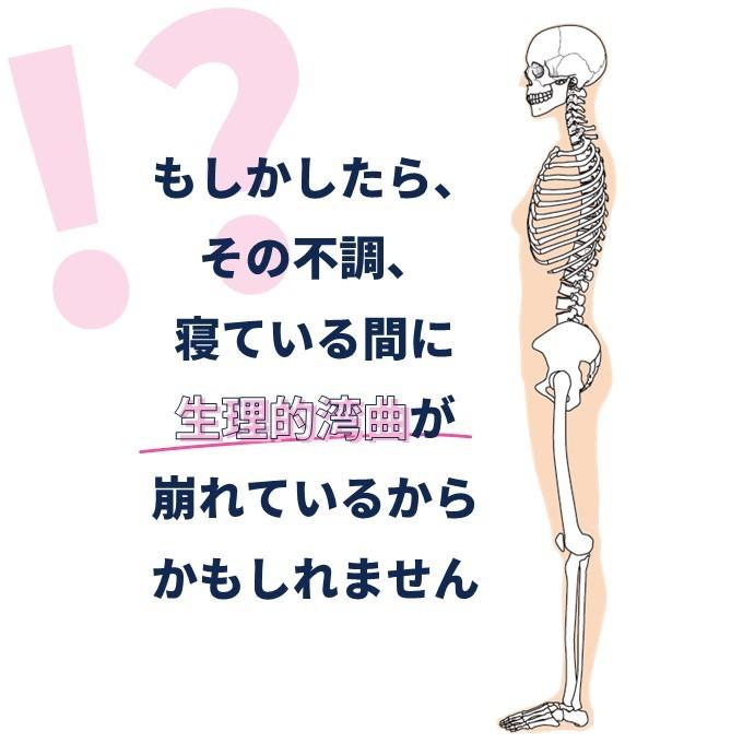 枕 まくら 整体師が作った 肩こり 首こり 腰痛 肩まで乗せる