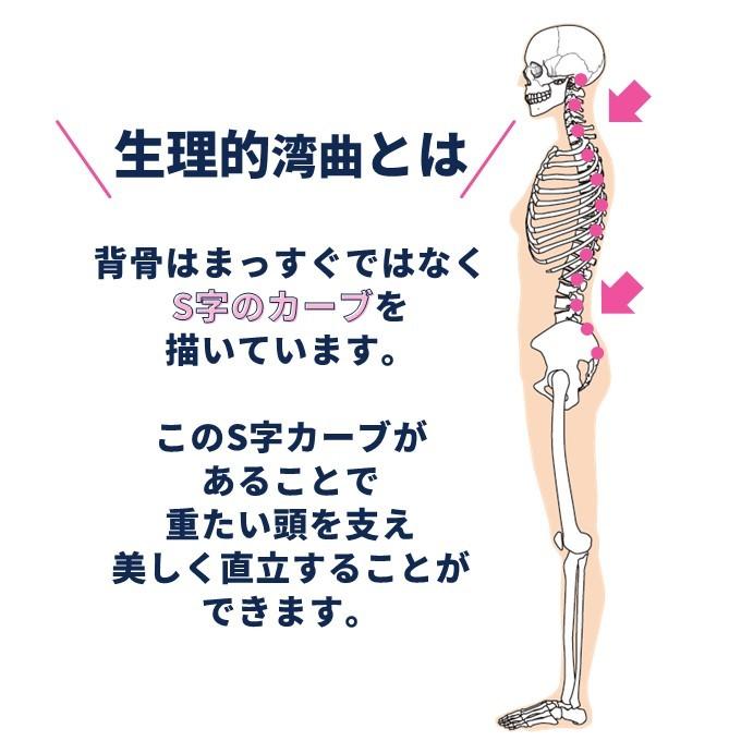 枕 まくら 整体師が作った 肩こり 首こり 腰痛 肩まで乗せる
