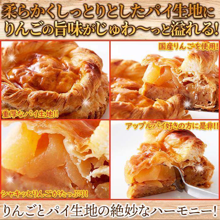 アップルパイ 5号 国産りんご使用 冷凍 代金引換不可 産直スイーツ