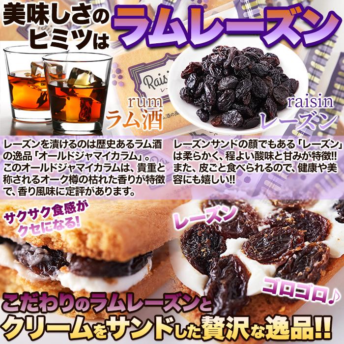 レーズンサンド 24個 洋菓子 焼き菓子 ラムレーズン クリーム 大容量