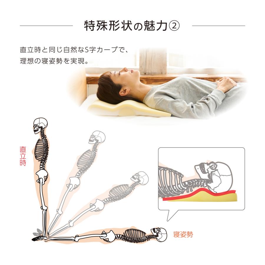 寝ながら骨格サポートまくらトリプルフィット｜肩甲骨まで支える 枕 頭
