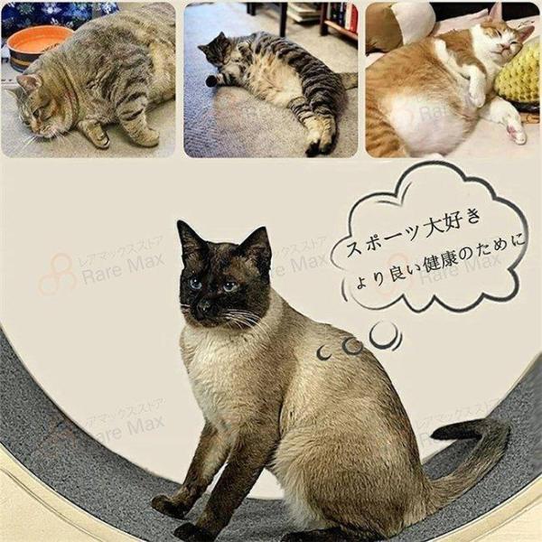キャットホイール キャット 低騒音 ランニングホイール回し車 省スペース ダイエット 猫 運動不足解消 おもちゃ 肉球に優しい 完成品 組み立て不要 キャットホイール 組み立て不要