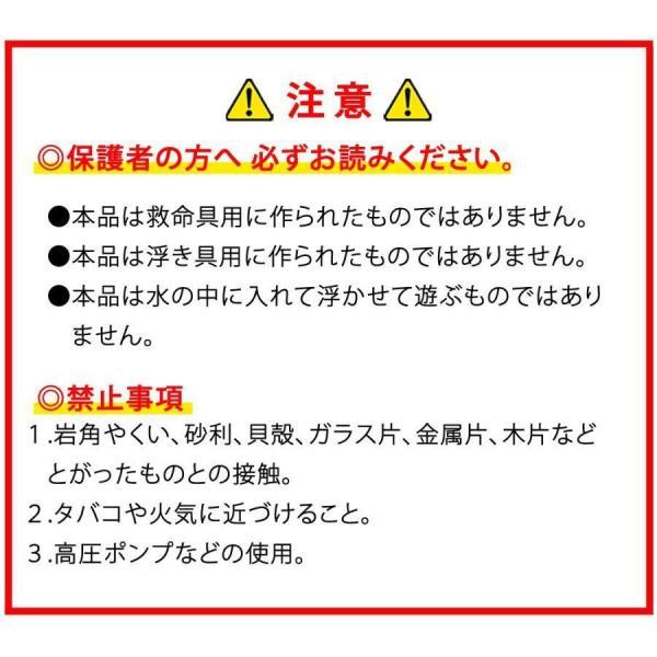 ビニールプール用マット 屋外用 125cm 子供 キッズ スイムアイテム フロート アウトドア ビーチグッズ リバーシブル ジュニア｜karakarashopping｜09