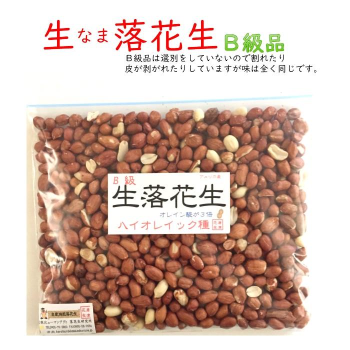 送料無料 B級品 生 なま 落花生 唐津花生 ハイオレイック 本場アメリカ そのまま調理 薄皮付き ピーナッツ 300ｇ Pdv7xh9xgu ヒューマンアクト落花生研究所 通販 Yahoo ショッピング