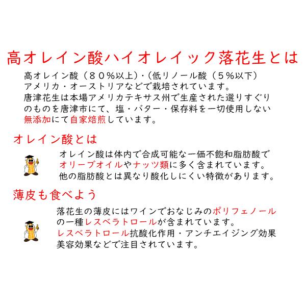 ピーナッツ 落花生 500円ポッキリ お試し セール 唐津花生 ハイオレイック ローストピーナッツ  無添加 無塩 薄皮付 ２個 140g アメリカ産｜karakkaseipro｜07