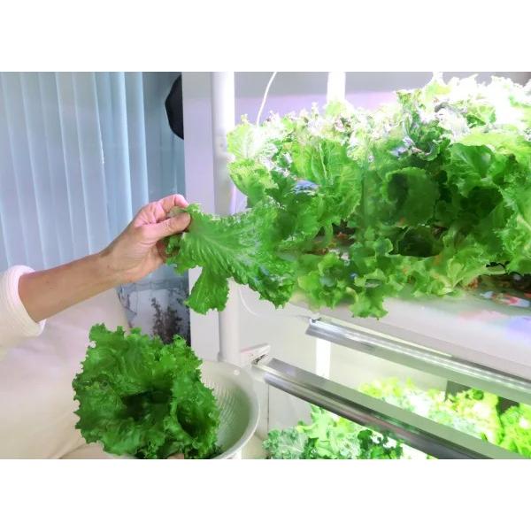 中古】スマート流水型水耕栽培器 野菜テラス FL-100 3段のテラス