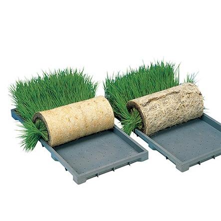 恵文社 ねはりシート 啓文社 水稲 田植 播種 稲作 育苗 根張り 苗