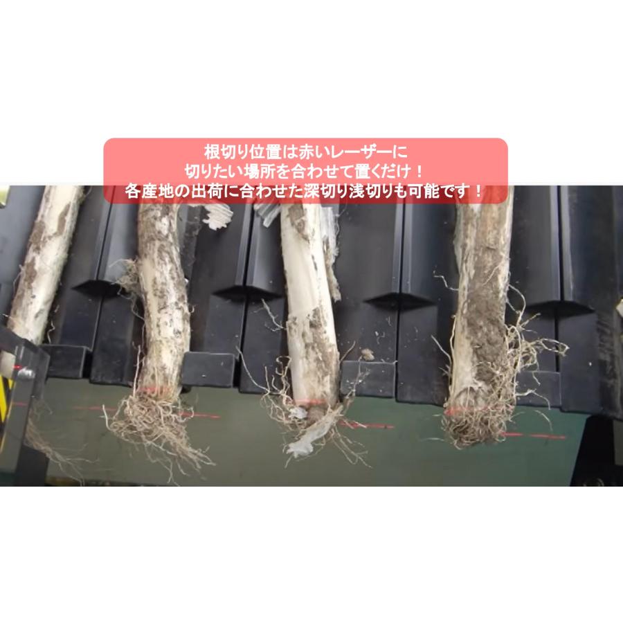 長ネギ根葉切り皮剥き機 マツモト ベストロボ MB-1D2-110C/P型 長ネギ根葉切り皮剥き機 マツモト ベストロボ MB-1D2-110C/P型