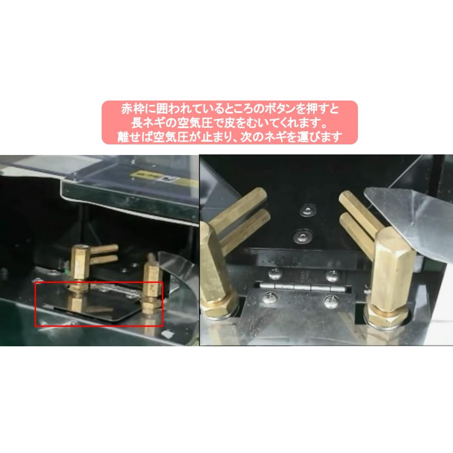 長ネギ根葉切り皮剥き機 マツモト ベストロボ MB-1D2-110C/P型 長ネギ根葉切り皮剥き機 マツモト ベストロボ MB-1D2-110C/P型