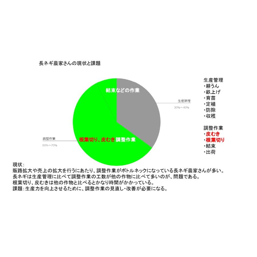 長ネギ根葉切り皮剥き機 マツモト ベストロボ MB-1D2型【38-6】｜karasawanouki｜03