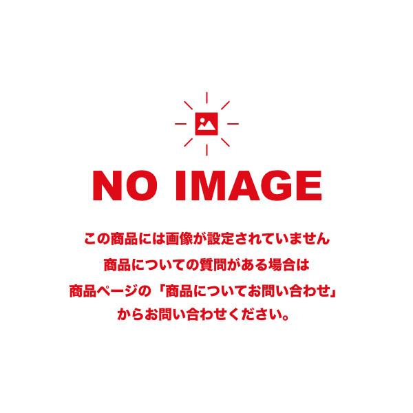 メッシュホースコンテナ 斉藤製作所 アト夢バネホース単品 B-20AG