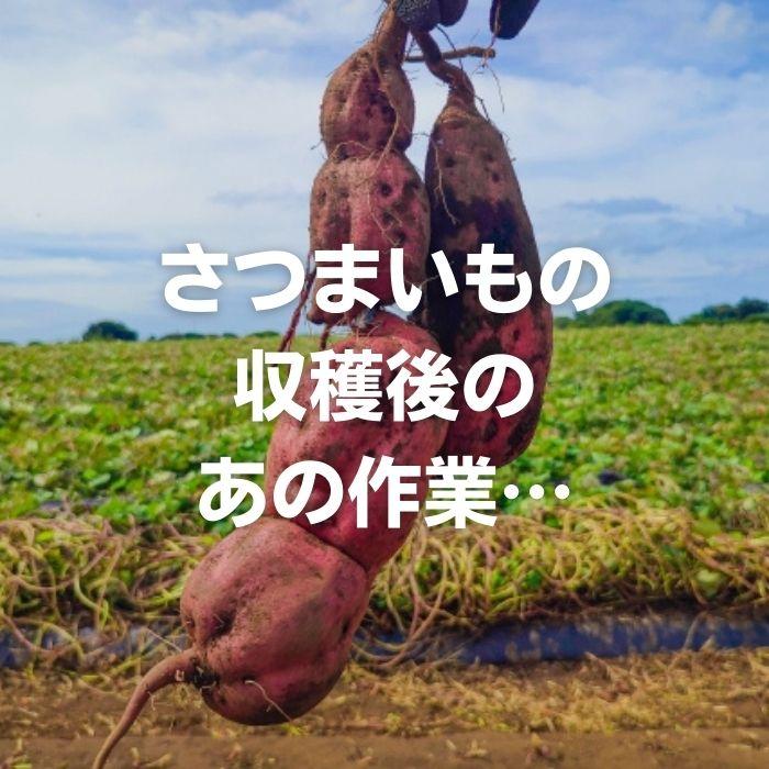 ー用つる刈機用土ほぐしディスク ジョーニシ THD-60K ニプロ