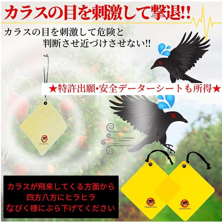 偉大な カラス除け140型 2枚組 即日無料発送 14ｘ14cm カラス対策 からす撃退プレート Aynaelda Com