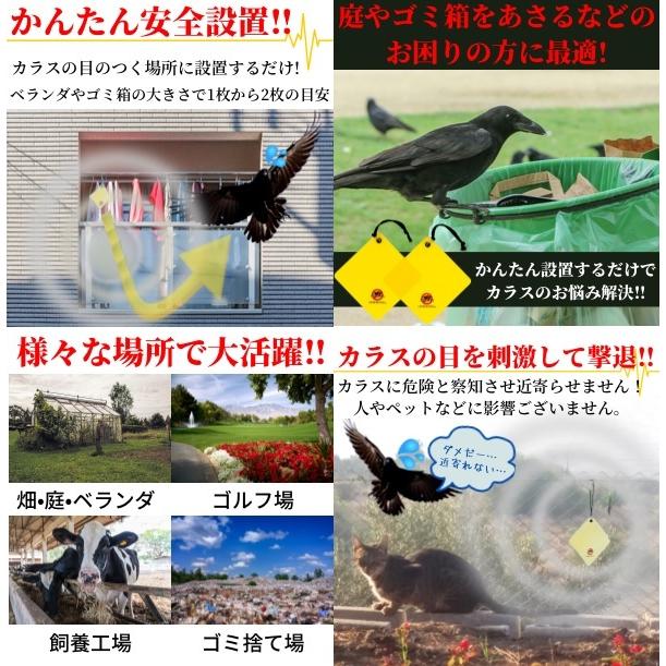 カラスバスター カラスよけ 対策 カラス撃退 グッズ 果実園 畑 ゴミ 