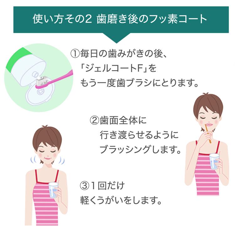 Weltec（ウエルテック） ウエルテック定番 2点セット ジェルコートF