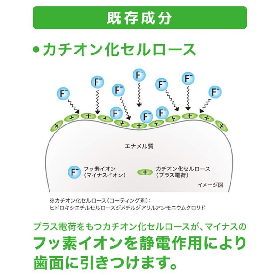 チェックアップ 歯磨き粉 Check-Up スタンダード 135g 10本