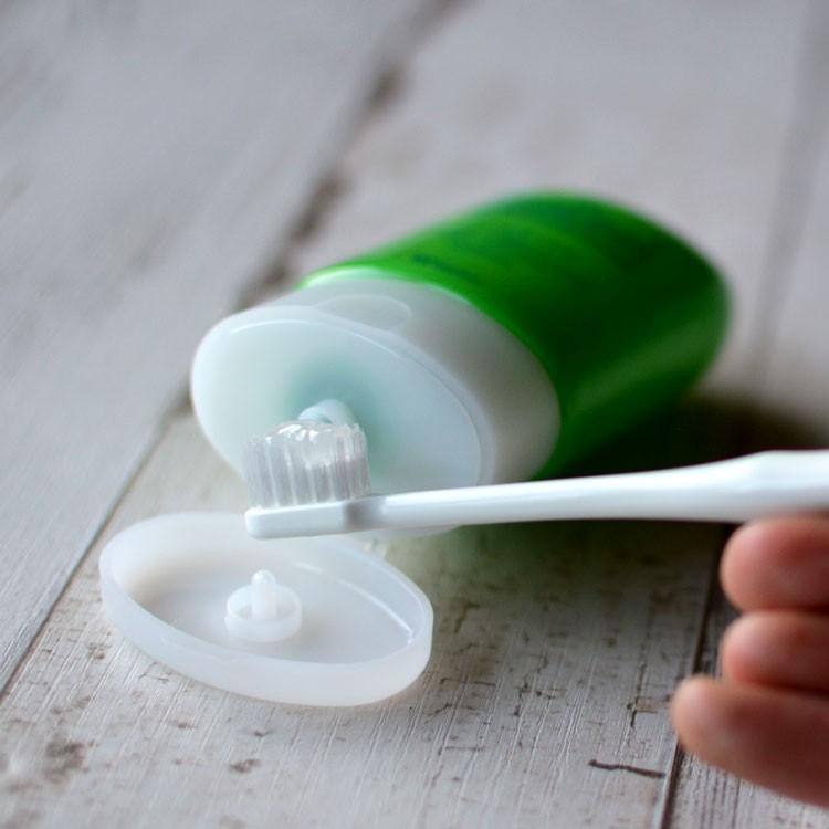 コンクール 歯磨き粉 フッ素 ウエルテック ジェルコートF 90g 1本 定形