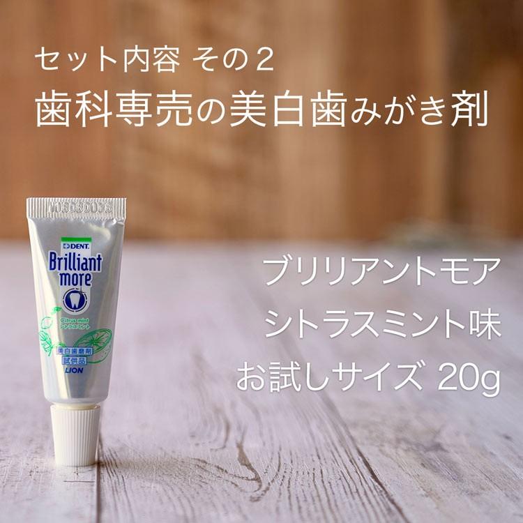 1000円 ポッキリ 送料無料 ライオン ブリリアントモア お試し 20g×3本セット カレンダー リングノート セット 送料無料 ポイント消化｜karayasa｜10