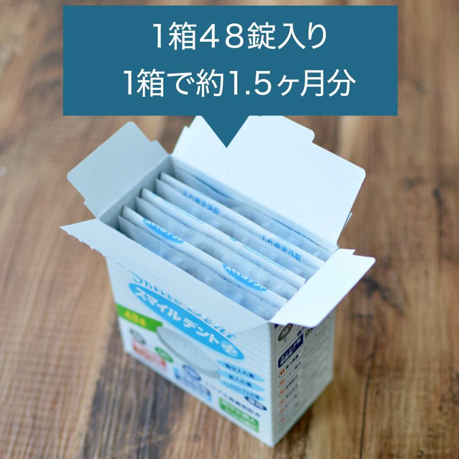 スマイルデント 48錠 入れ歯 洗浄剤 プラス 48錠入×1箱 歯科医院専門