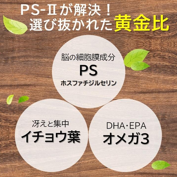 Ps Ii 国産 ホスファチジルセリン 115mg イチョウ葉 80mg Dha Epa レシチン オメガ3 サプリメント ストレス 子供 30日分 カレイドスコープスプロ 通販 Yahoo ショッピング