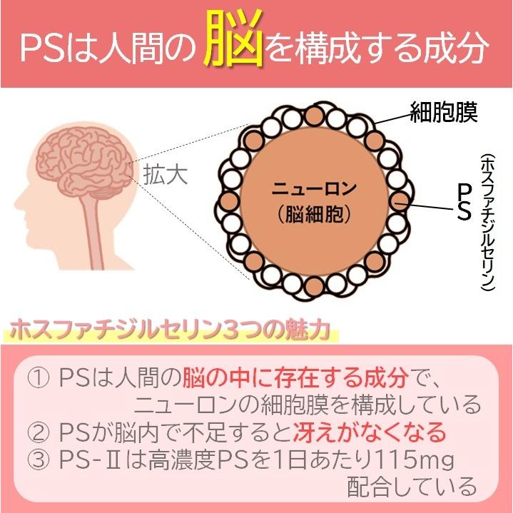 ホスファチジルセリン 115mg イチョウ葉 80mg  DHA EPA レシチン サプリメント 子供 PS-II 30日分｜kareidosukopuspro｜09