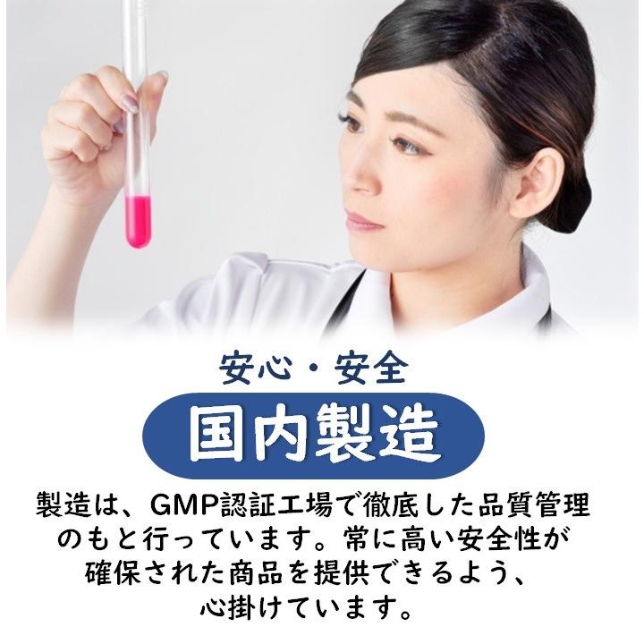 お茶でスルーハーブティー 30包 レモン味 腸活 便秘 ダイエット 腸内フローラ サプリメント|kareidosukopuspro|14