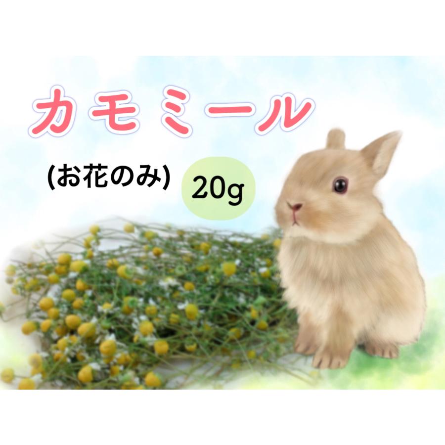 カモミール（乾燥・20g）花のみ 農薬不使用 小動物(ウサギ・チンチラ