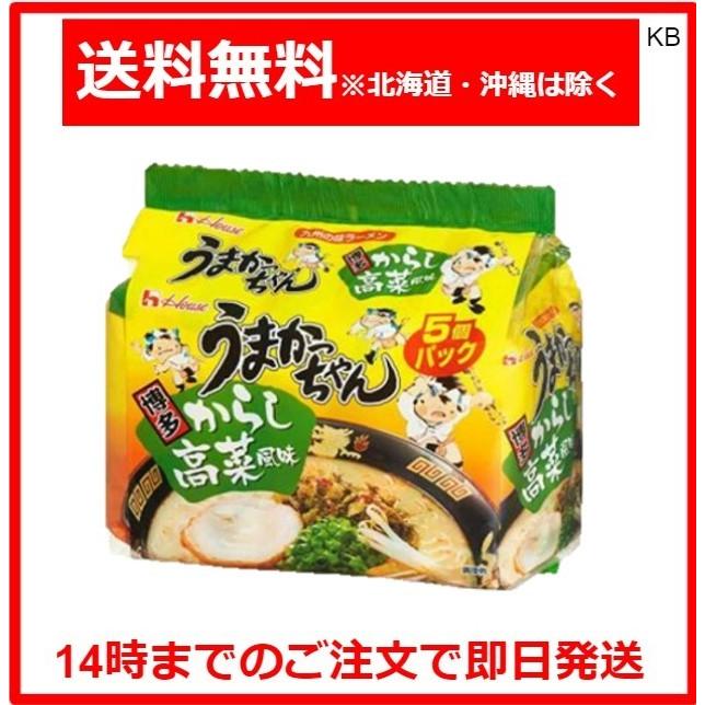 うまかっちゃん 博多からし高菜風味 5個パック : Karimero Box - 通販