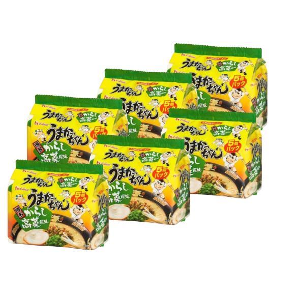 うまかっちゃん 博多からし高菜風味 5食入×6個パック 30食 袋麺 ハウス