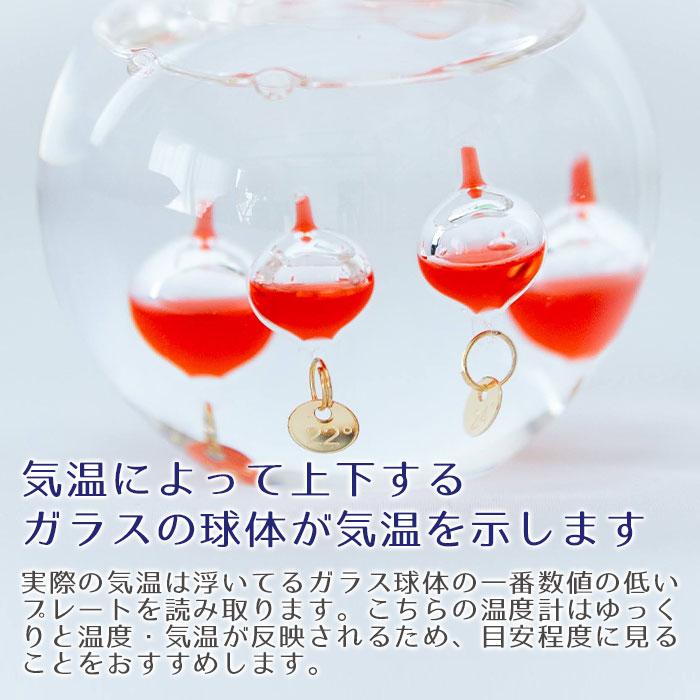 温度計　ガリレオ温度計　置物　インテリア　名入れ　プレゼント　ギフト　名入れ温度計 かわいい リンゴガラスフロート　誕生日プレゼント　退職祝い　記念品 | 名入れギフトKARIN | 06