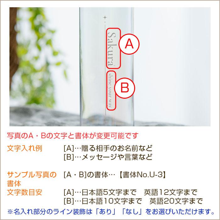 名入れ　ボトル　水筒　ウォーターボトル　誕生日　卒業記念　プレゼント　ギフト　名入れ クリアオーロラボトル 570ml ウォーターボトル UV | 名入れギフトKARIN | 11