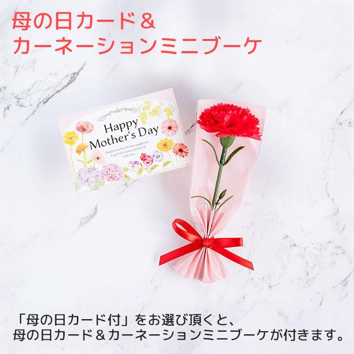 母の日　コーム　櫛　MEDULLA　プレゼント　ギフト　誕生日　クリスマス　記念品　MEDULLA （メデュラ） ウルトラシャインコーム 名入れヘアコーム UL | 名入れギフトKARIN | 16