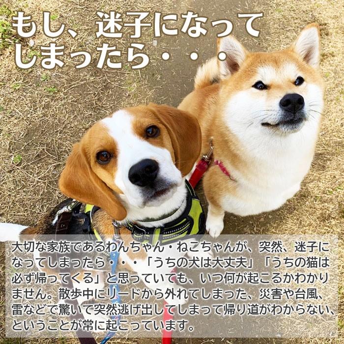 オーダーメイド迷子札 ネームタグ ドックタグ 犬 猫 小型犬 中型犬 大型犬 ペット用迷子札 Pettag 名入れプレゼント専門店karin 通販 Yahoo ショッピング