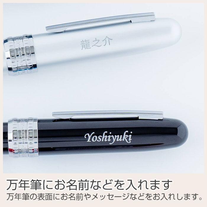 名入れ　万年筆　ペン　高級筆記具　プレゼント　ギフト　名入れ万年筆 プラチナ プレジール 全４色 UL　昇進祝い　退職祝い　誕生日 | プラチナ万年筆 | 14